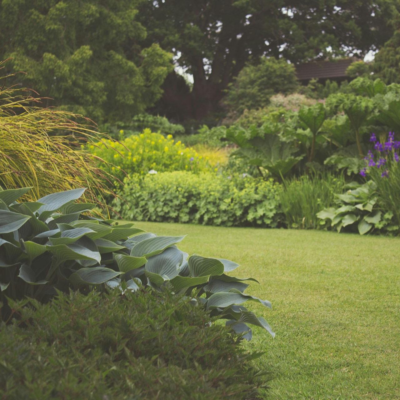A lush backyard garden with vibrant plants and manicured lawn, ideal for a relaxing outdoor space.